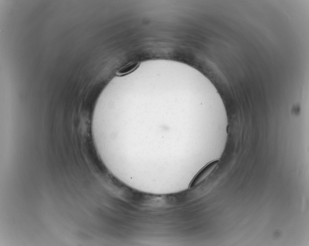 X0000091080083200709041250