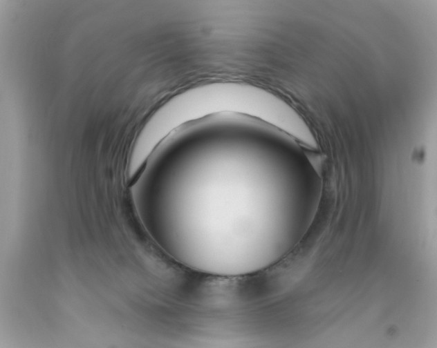 X0000091080084200709041250