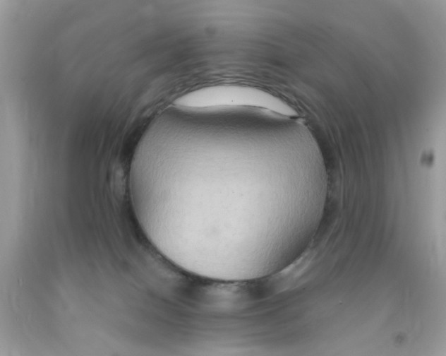 X0000091080086200709041250