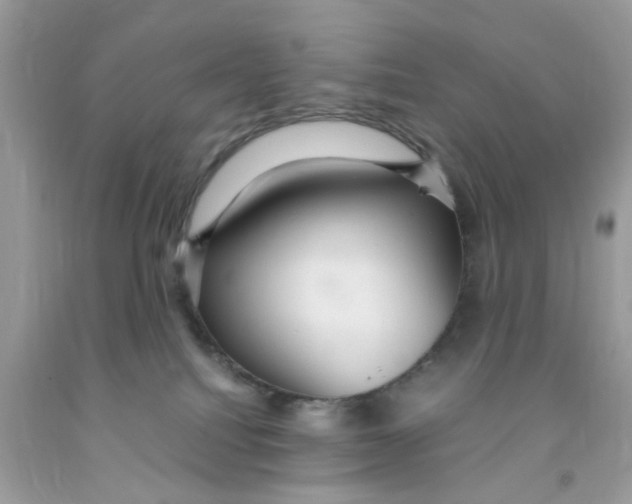 X0000091080088200709041250