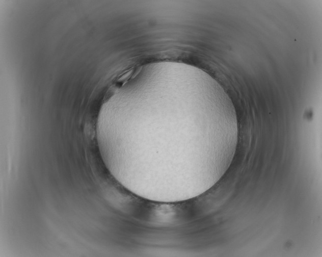 X0000091080091200709041250