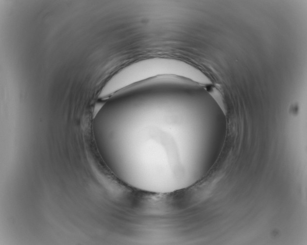 X0000091080092200709041250