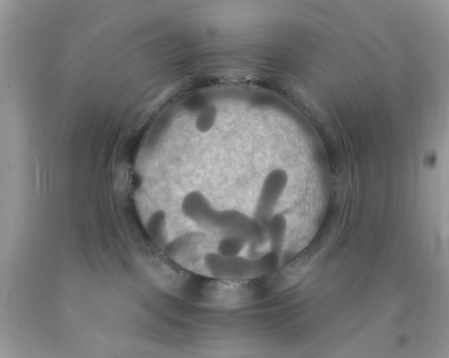 X0000091080093200709041250