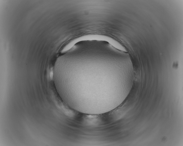 X0000091080095200709041250