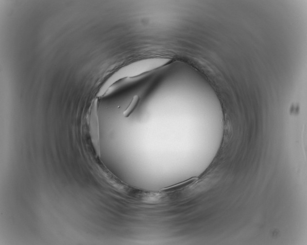 X0000091080096200709041250