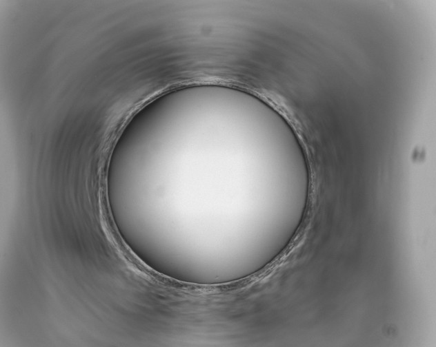 X0000091080097200709041249