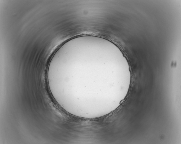 X0000091080098200709041249