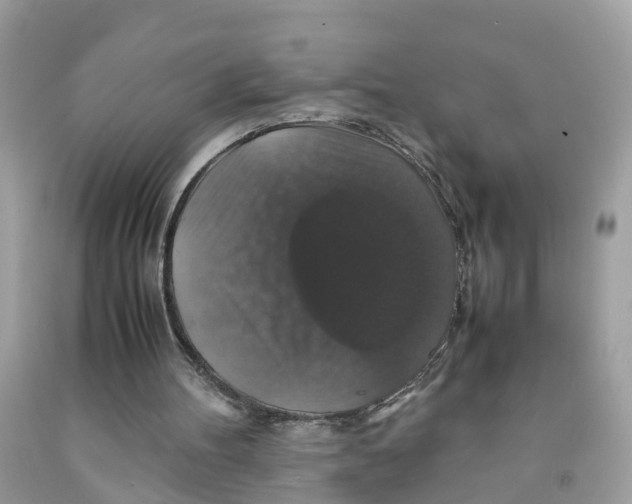 X0000091080100200709041249