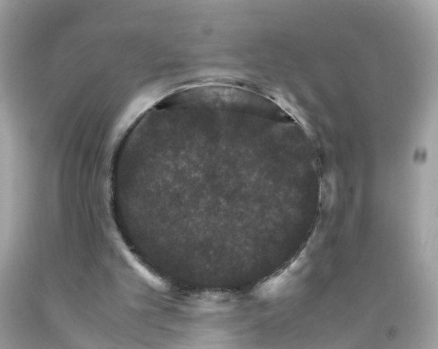 X0000091080101200709041249