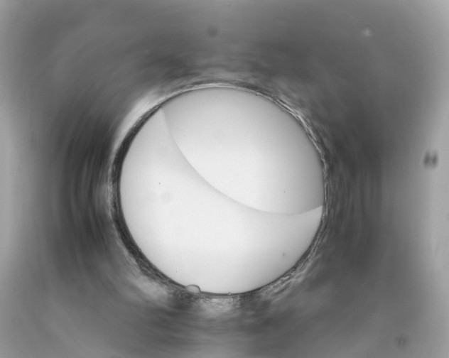 X0000091080102200709041249