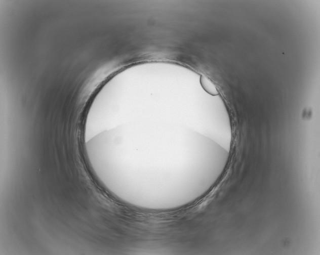 X0000091080103200709041249