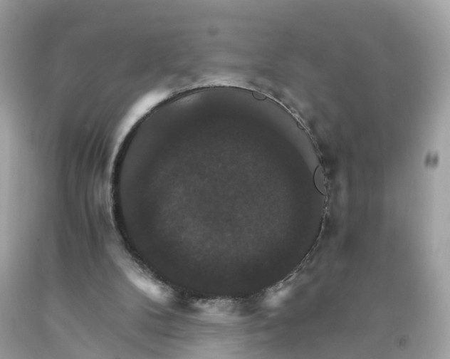 X0000091080104200709041249