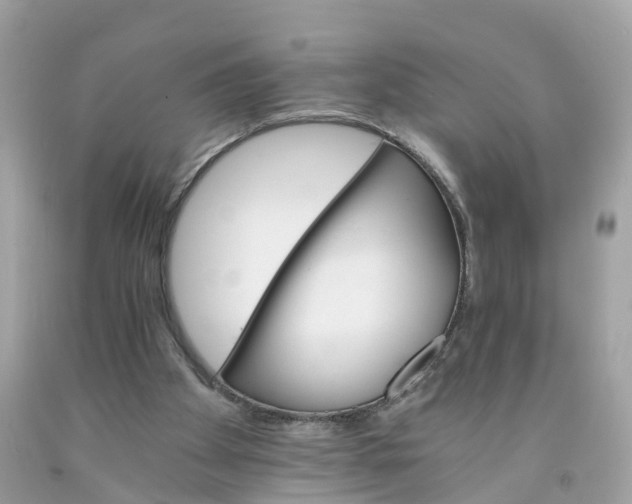 X0000091080105200709041249