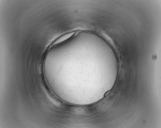 X0000091080106200709041249