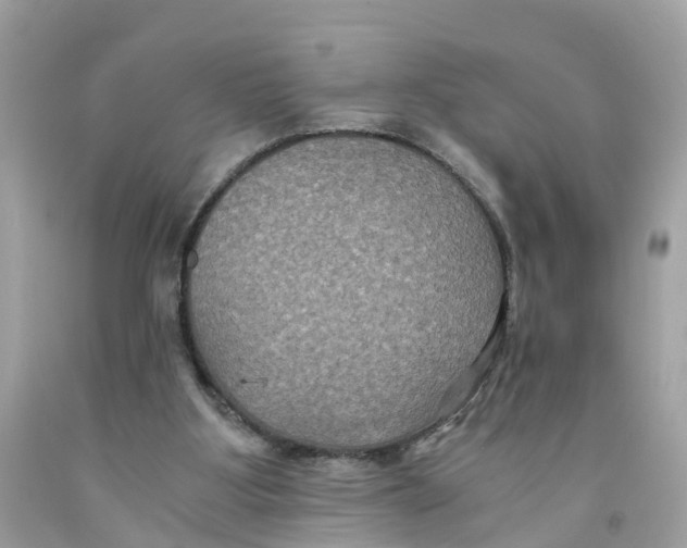 X0000091080107200709041249