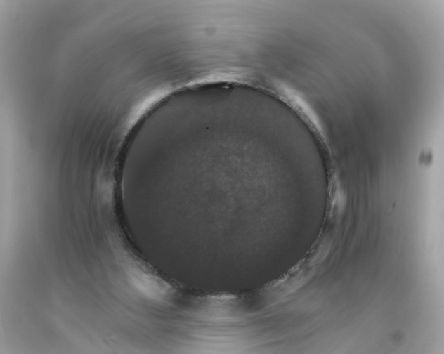 X0000091080108200709041249