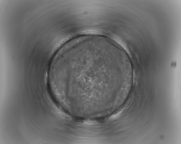 X0000091080109200709041249