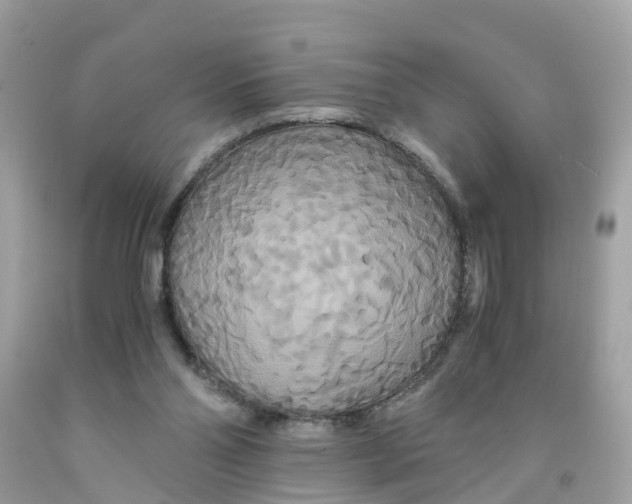 X0000091080110200709041249