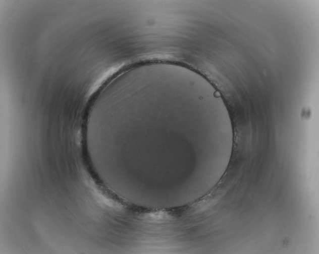 X0000091080112200709041249