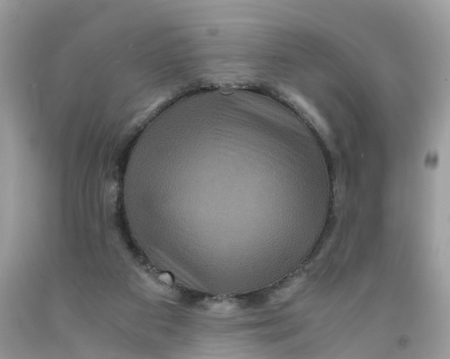 X0000091080113200709041249