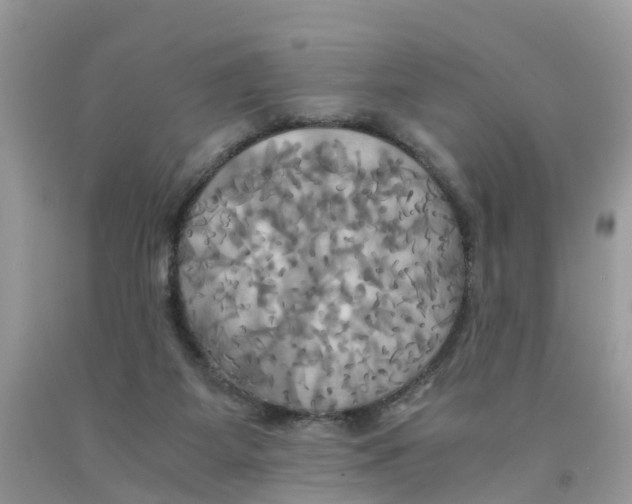 X0000091080115200709041249