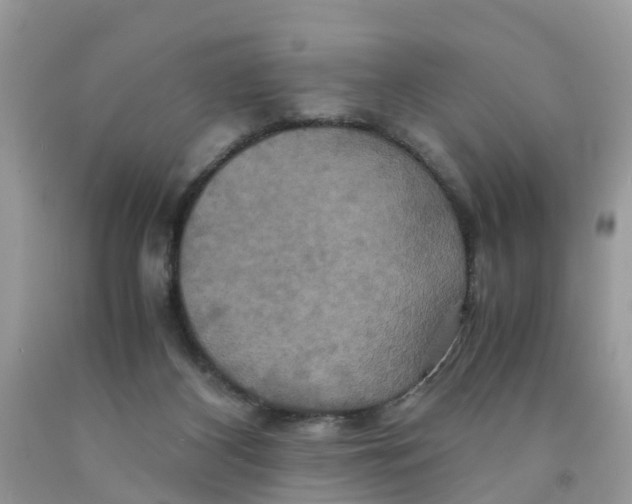 X0000091080116200709041249