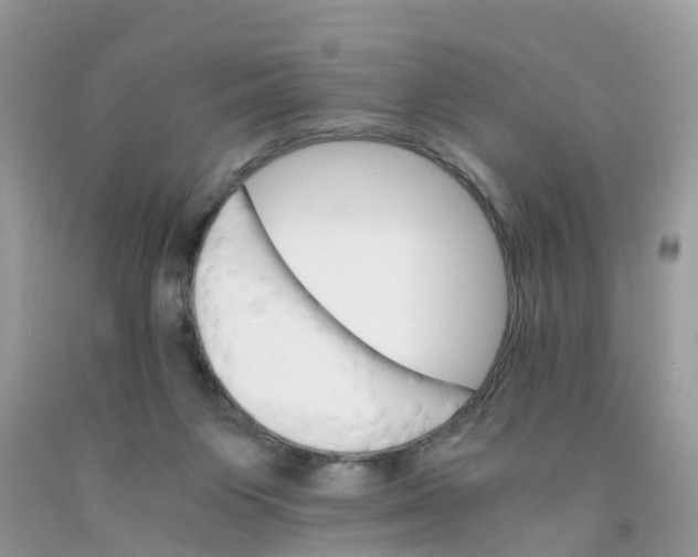 X0000091080119200709041249