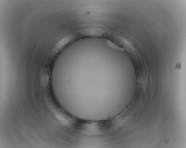 X0000091080120200709041249