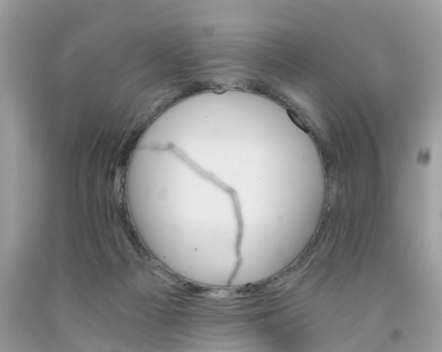 X0000091080121200709041249