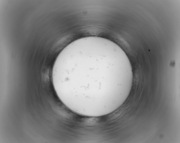 X0000091080122200709041249