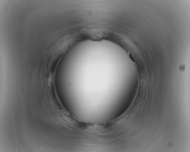 X0000091080125200709041249