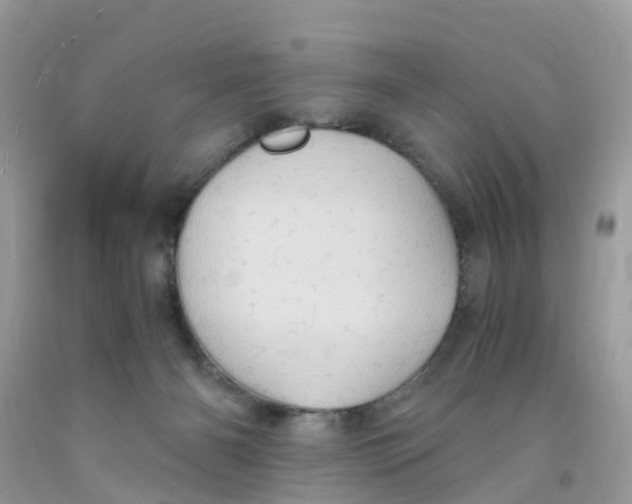 X0000091080126200709041249