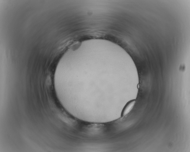 X0000091080128200709041249