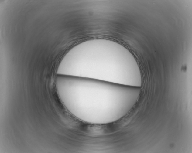 X0000091080129200709041249