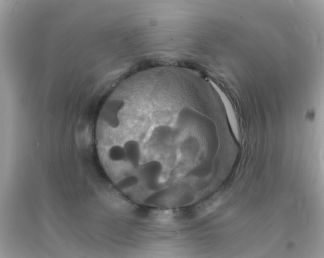 X0000091080131200709041249