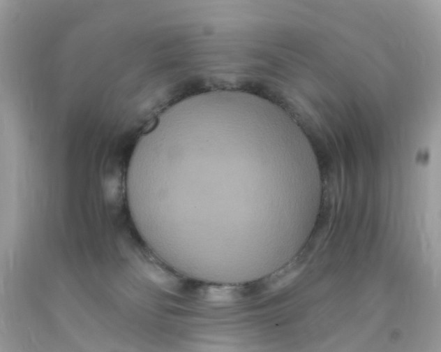 X0000091080134200709041249