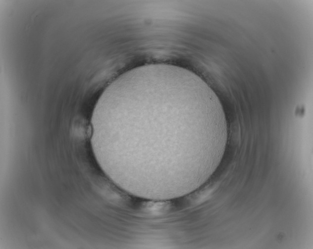 X0000091080135200709041249