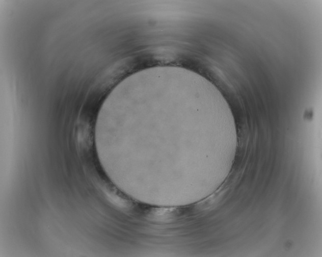 X0000091080136200709041249