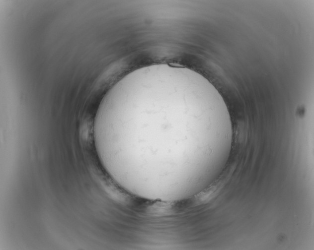 X0000091080138200709041249