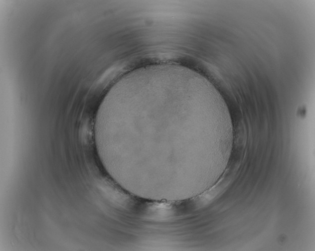 X0000091080140200709041249