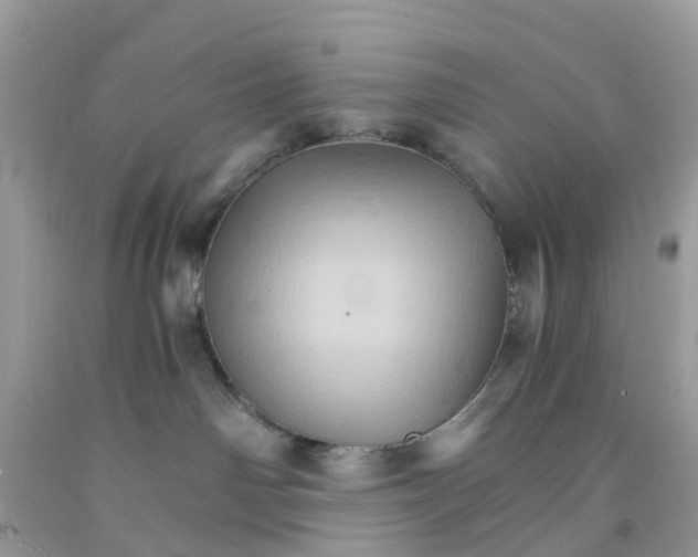 X0000091080142200709041249