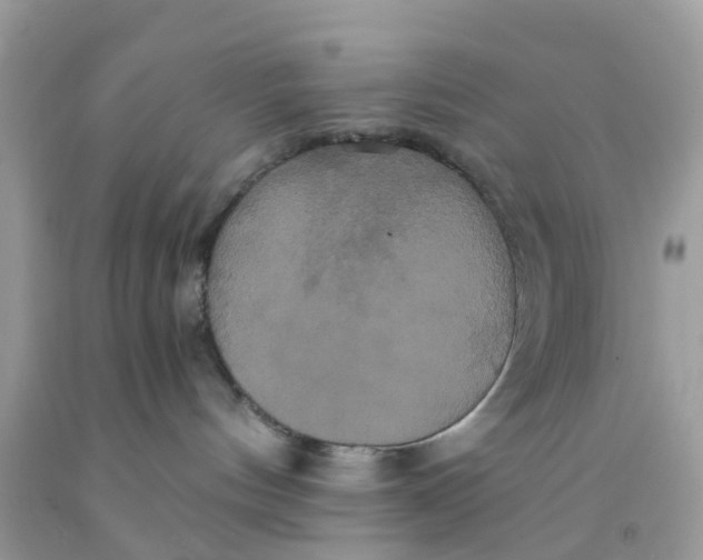 X0000091080144200709041249