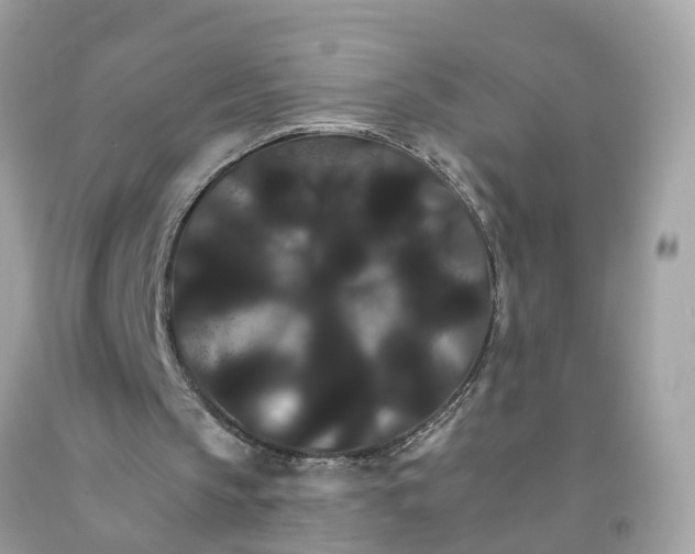 X0000091080145200709041248