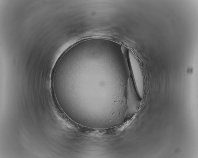 X0000091080148200709041248