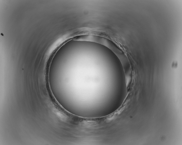 X0000091080150200709041248