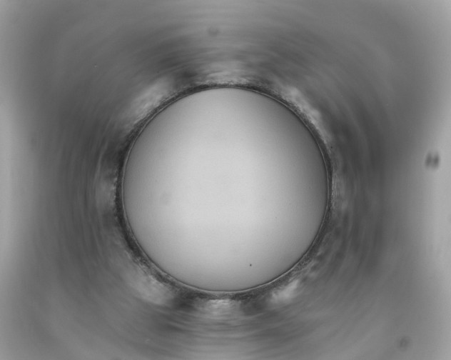 X0000091080153200709041248