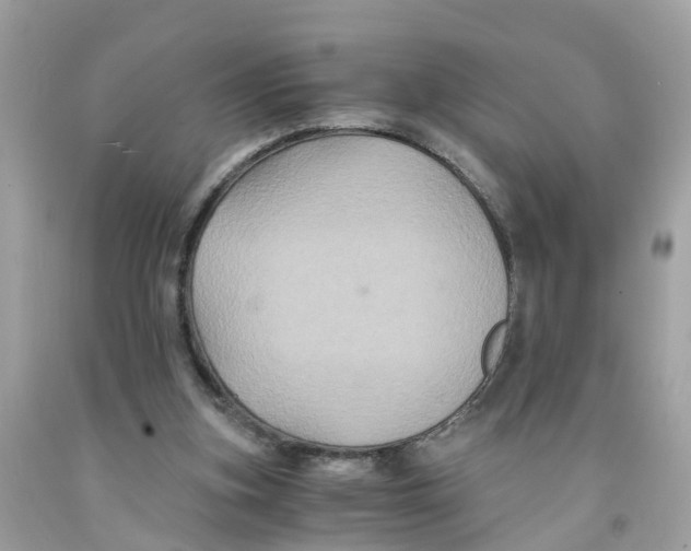 X0000091080155200709041248