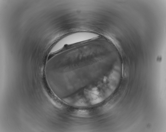 X0000091080157200709041248