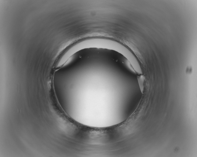 X0000091080160200709041248