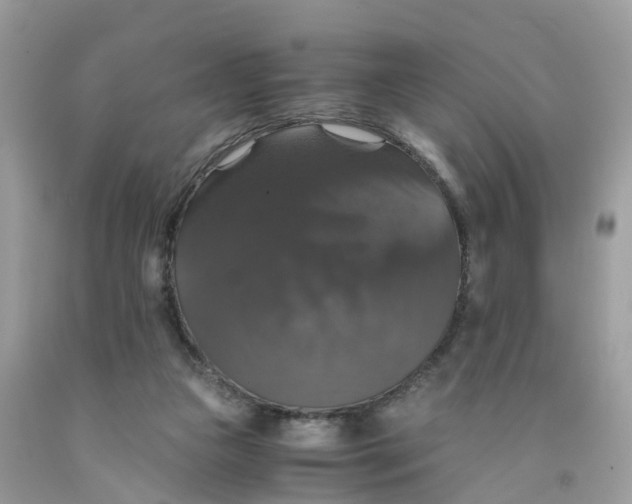 X0000091080161200709041248